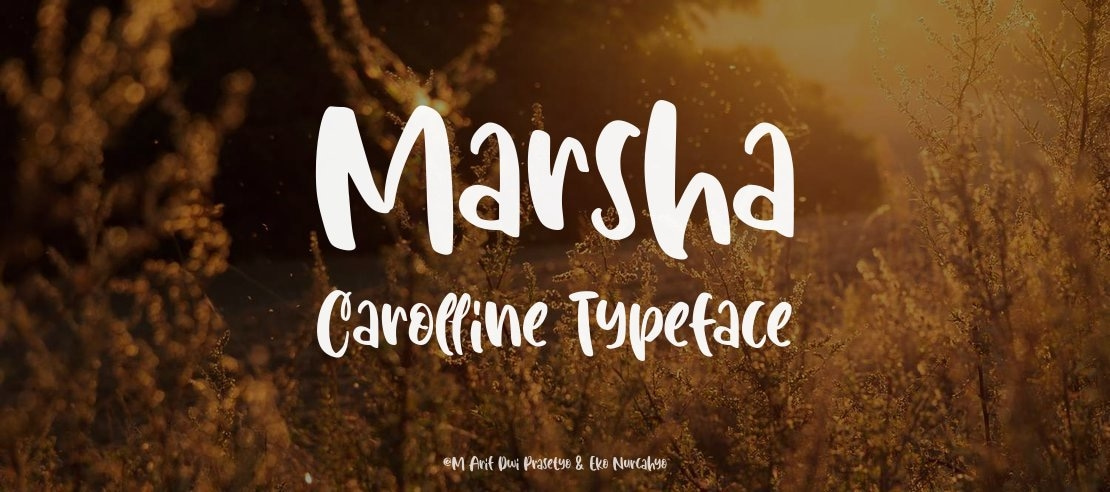 Marsha Carolline Font