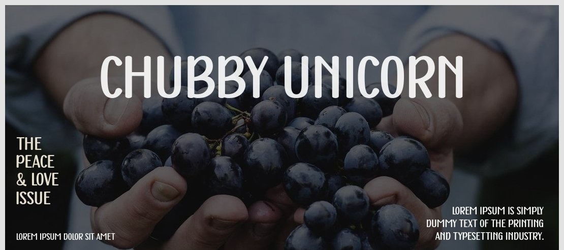Chubby Unicorn Font