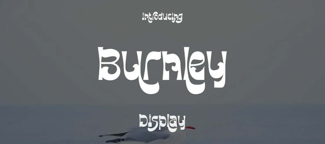 Burnley Font