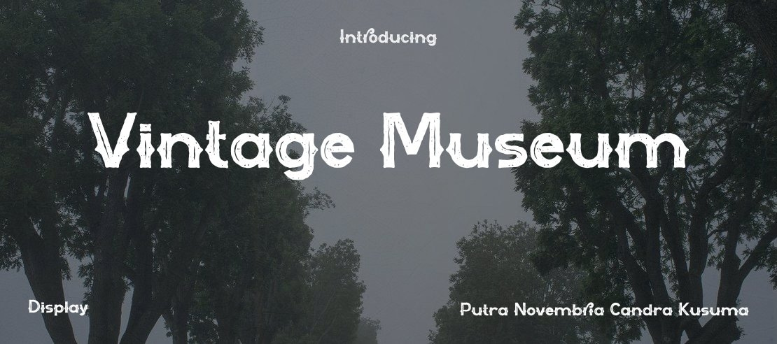 Vintage Museum Font