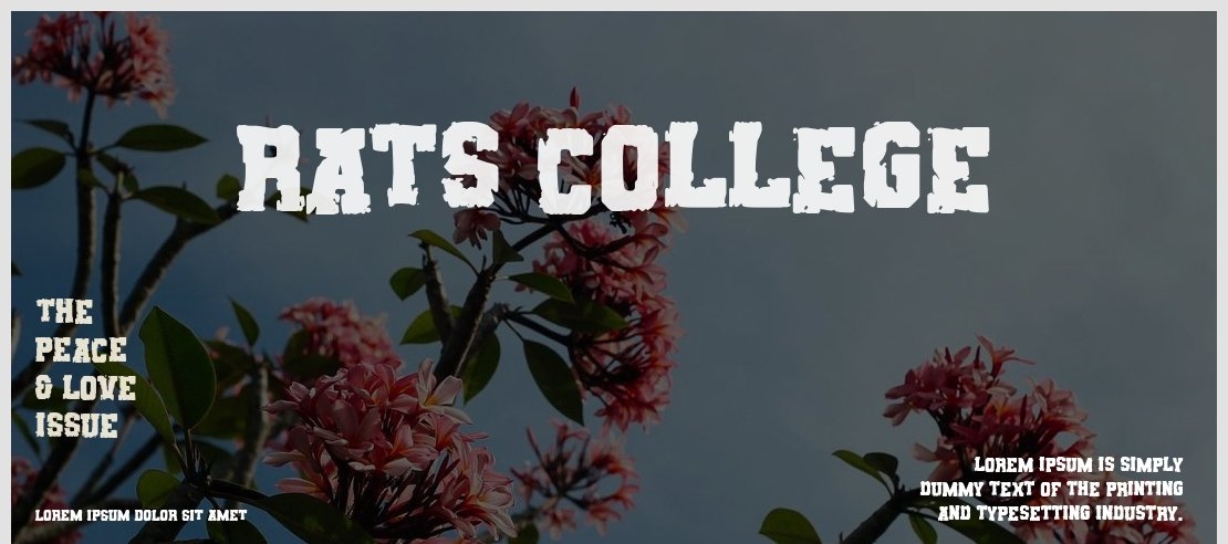 Rats College Font