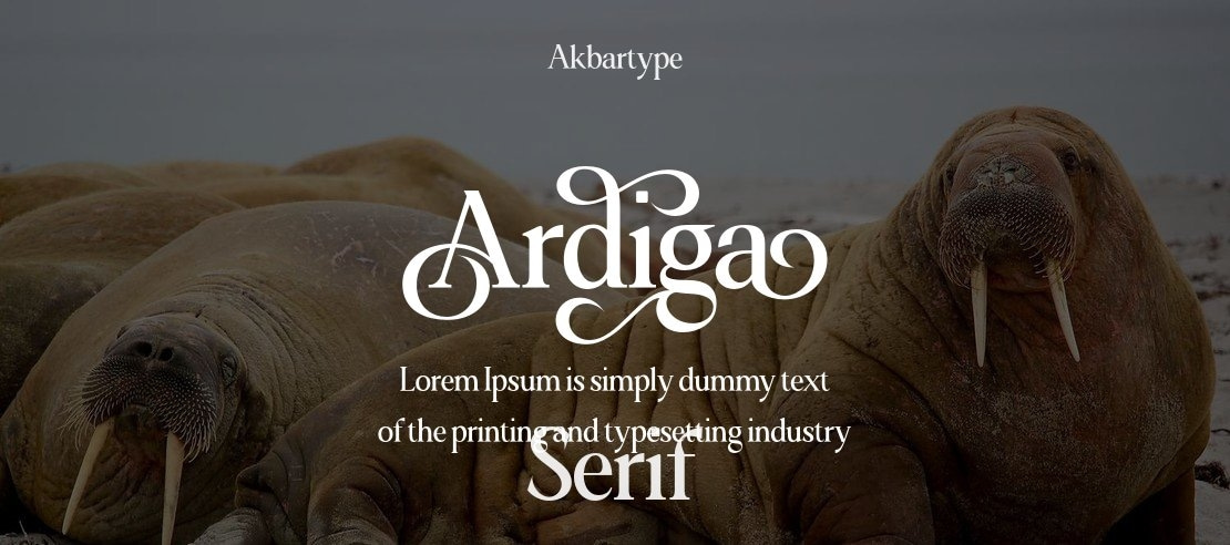 Ardiga Font