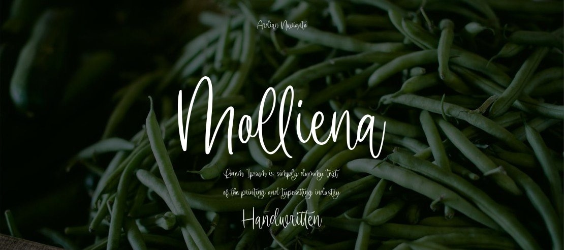 Molliena Font