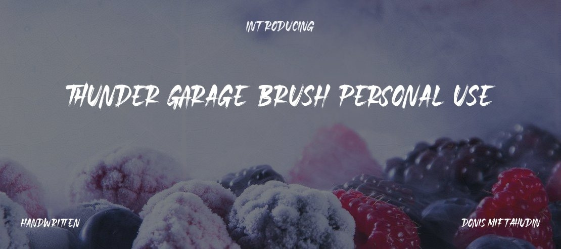 Thunder Garage Brush Personal Use Font