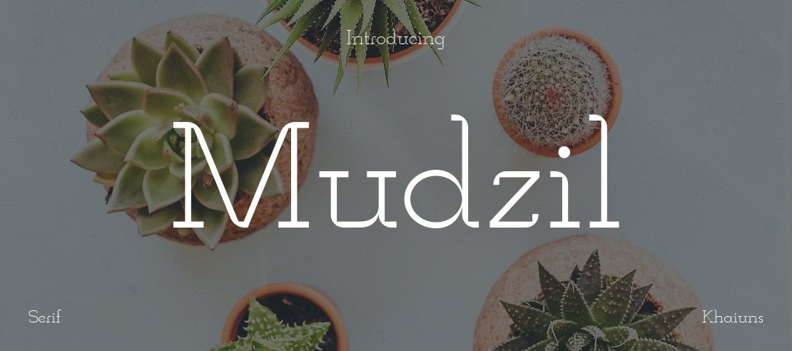 Mudzil Font Family