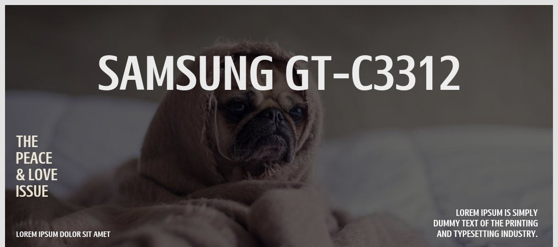 Samsung GT-C3312 Font Family