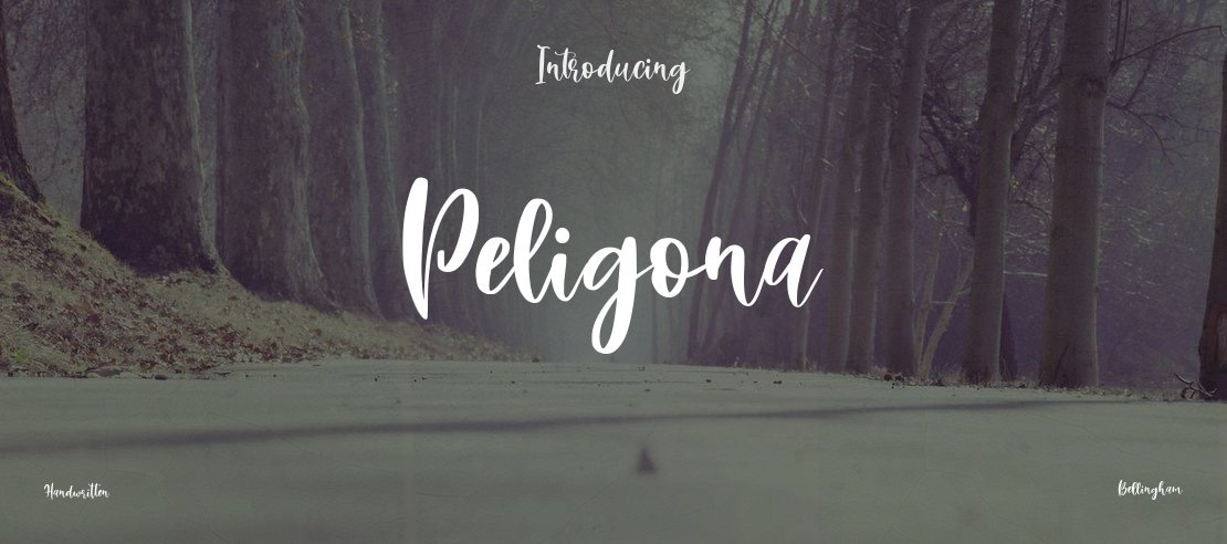 Peligona Font
