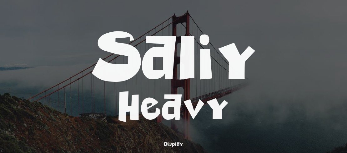 Saliy Heavy Font