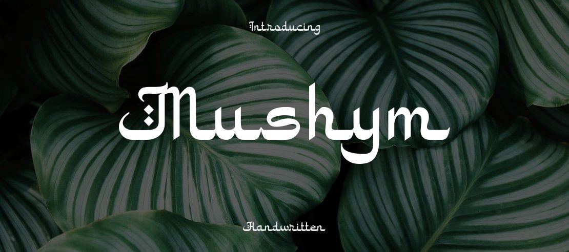 Mushym Font