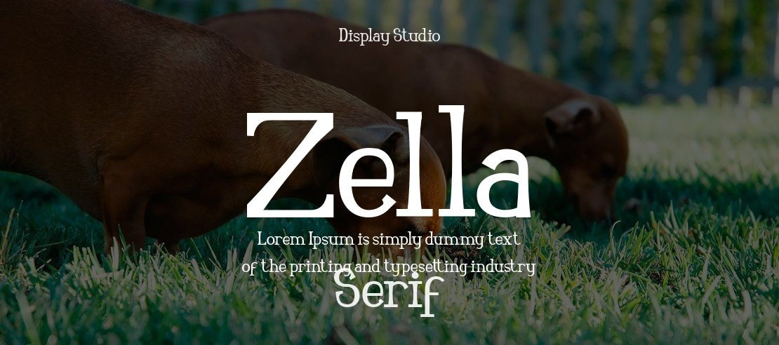 Zella Font