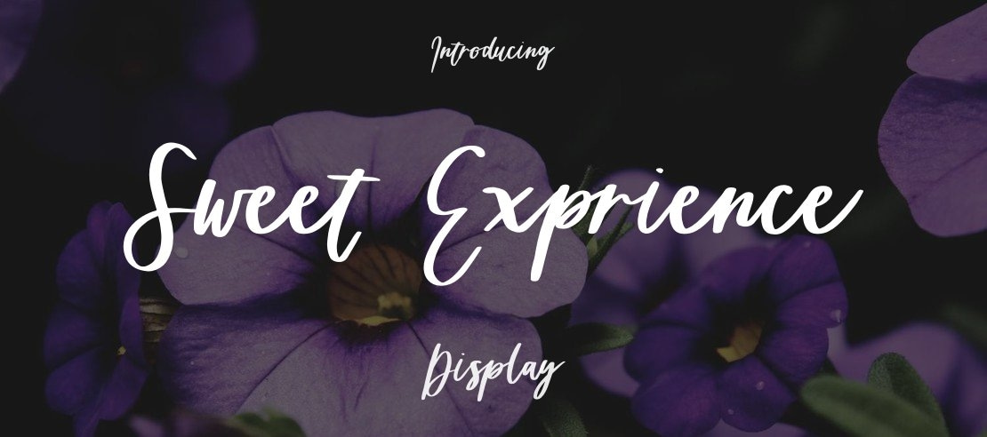 Sweet Exprience Font