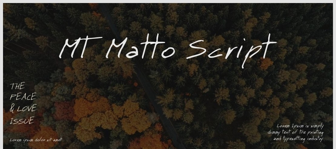 MT Matto Script Font Family