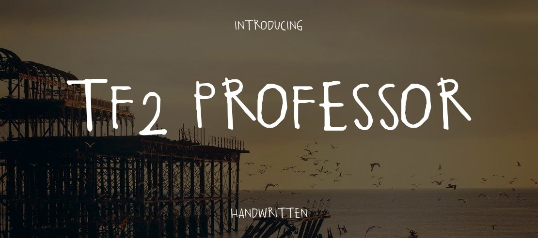 TF2 Professor Font