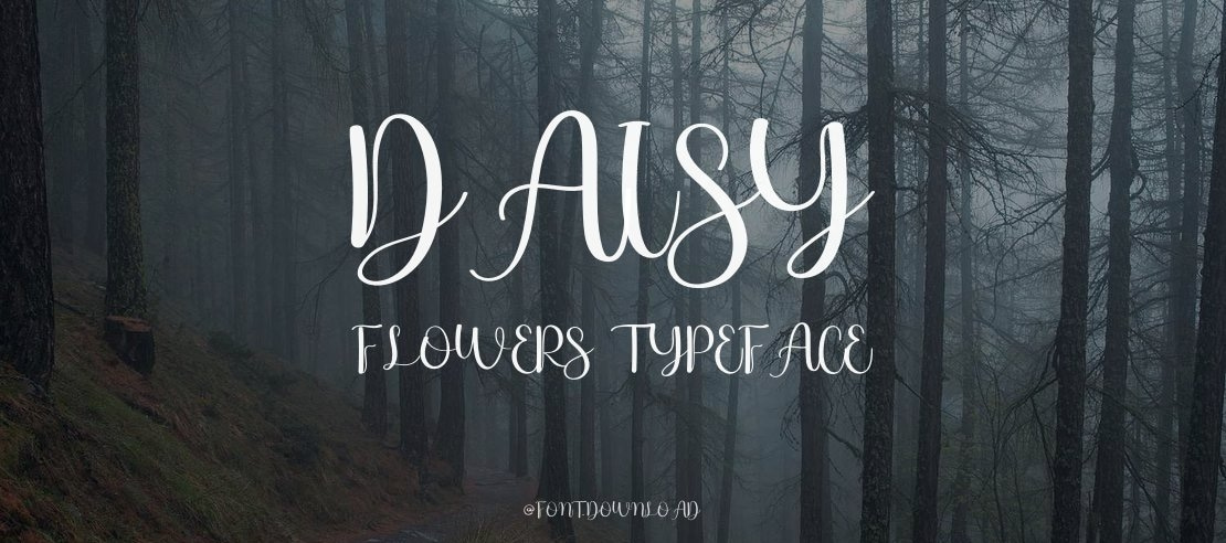 Daisy Flowers Font