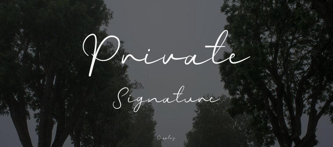 Private Signature Font