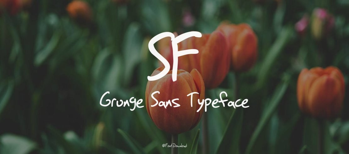 SF Grunge Sans Font Family