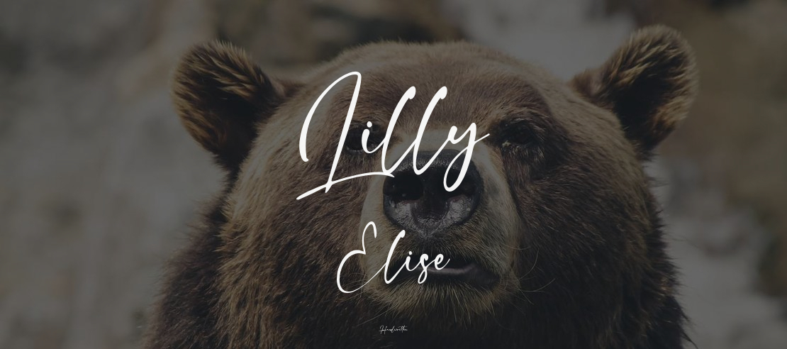 Lilly Elise Font