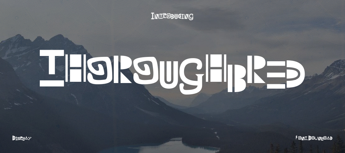 Thoroughbred Font