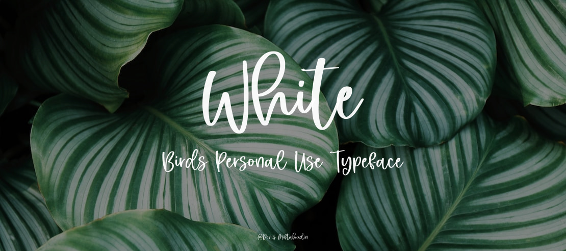 White Birds Personal Use Font