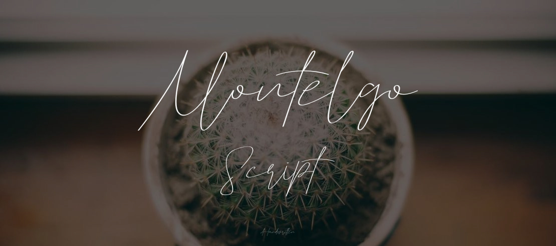 Montelgo Script Font