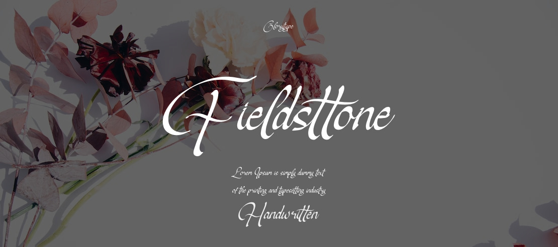 Fieldsttone Font