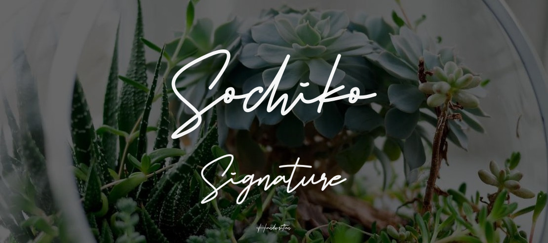 Sochiko Signature Font