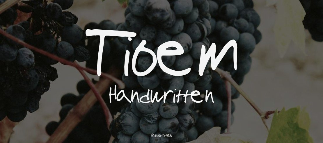 Tioem Handwritten Font