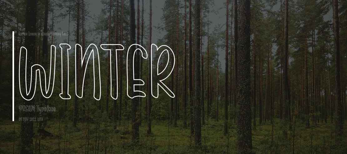 WINTER DREAM Font