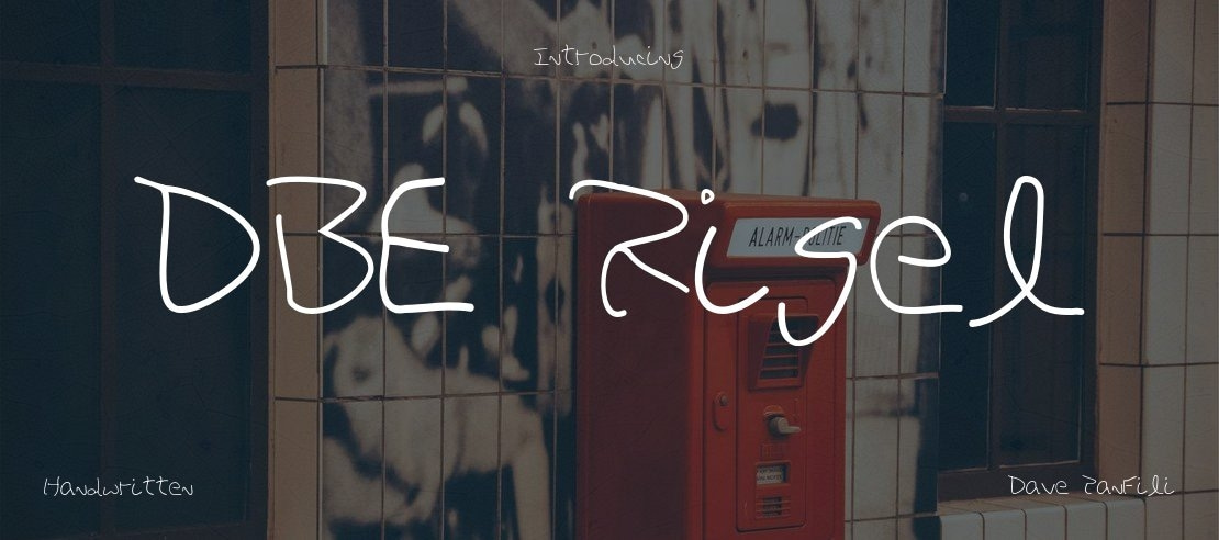 DBE Rigel Font Family