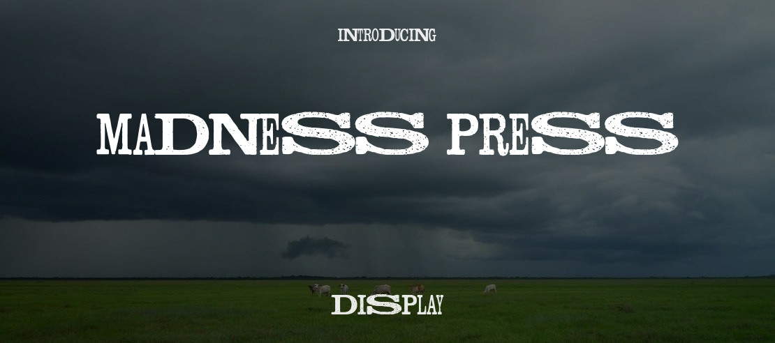 Madness Press Font