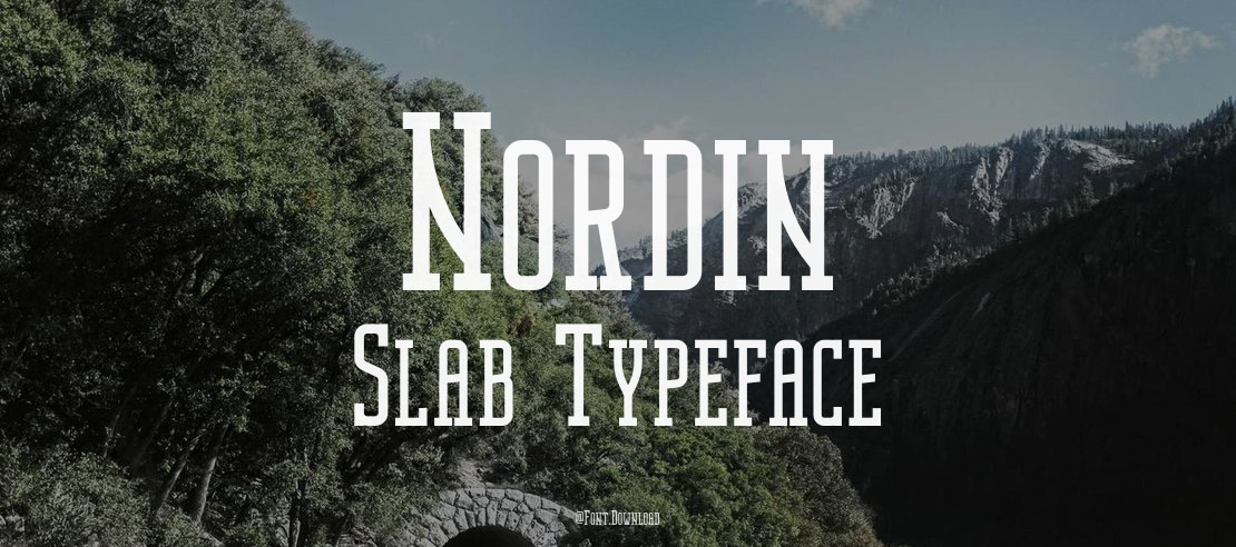 Nordin Slab Font