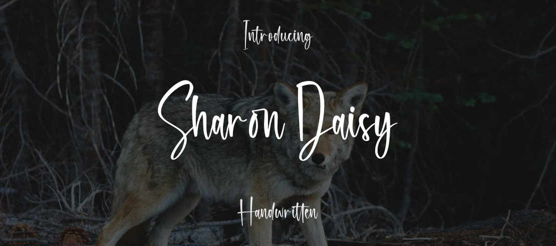Sharon Daisy Font