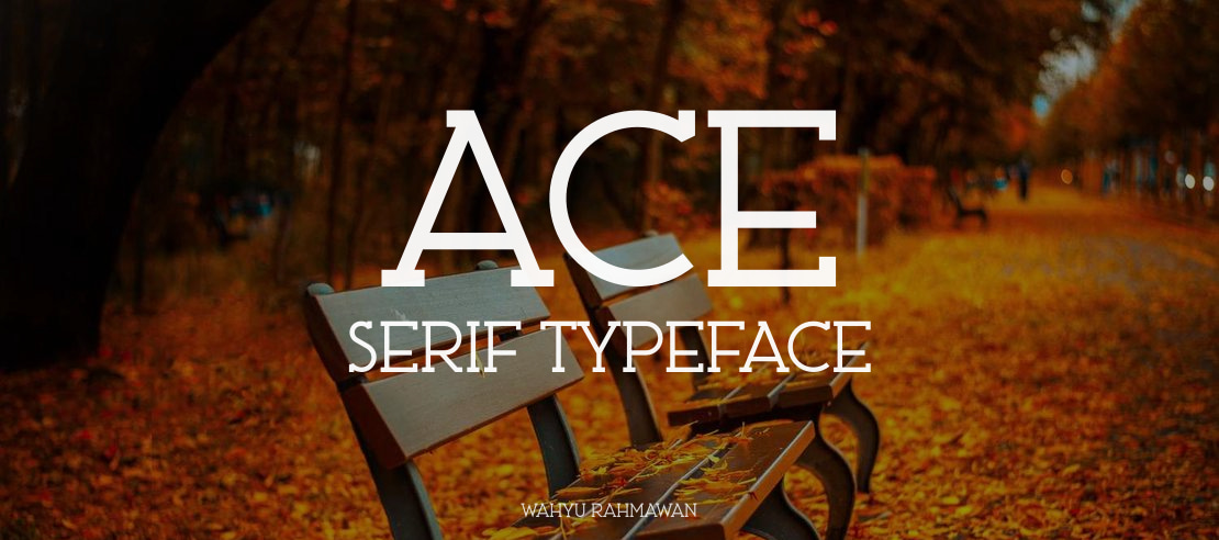 Ace Serif Font