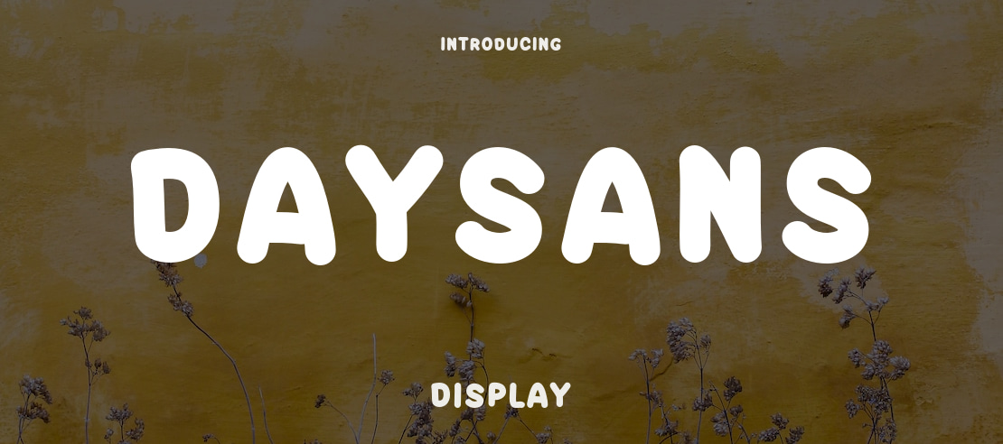 DAYSANS Font