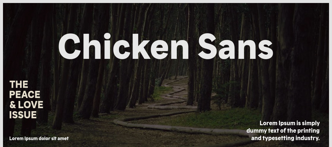 Chicken Sans Font Family