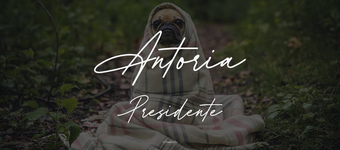 Antoria Presidente Font