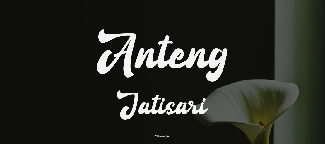 Anteng Jatisari Font