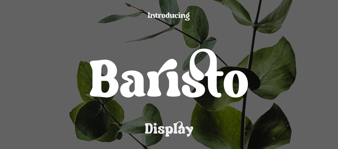 Baristo Font