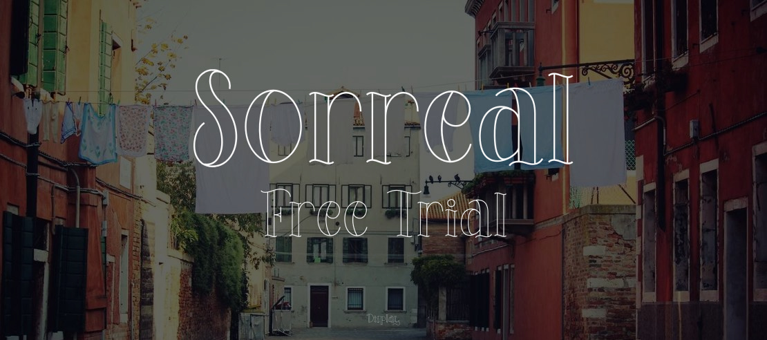 Sorreal Free Trial Font