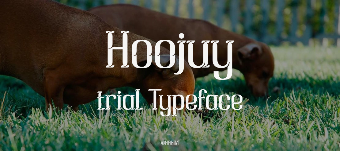 Hoojuy trial Font