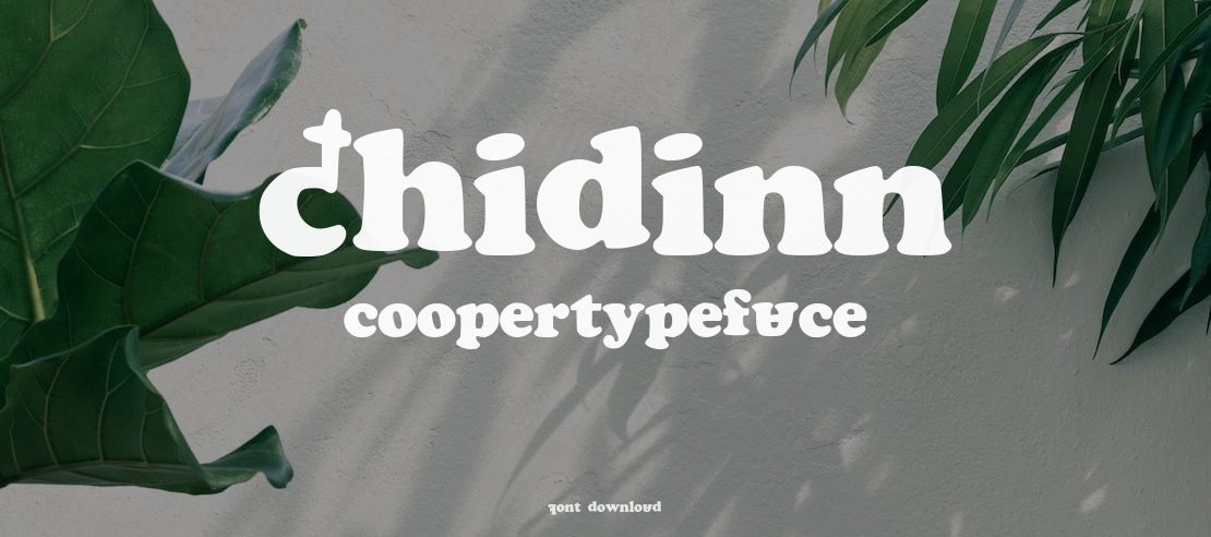 Shidinn Cooper Font