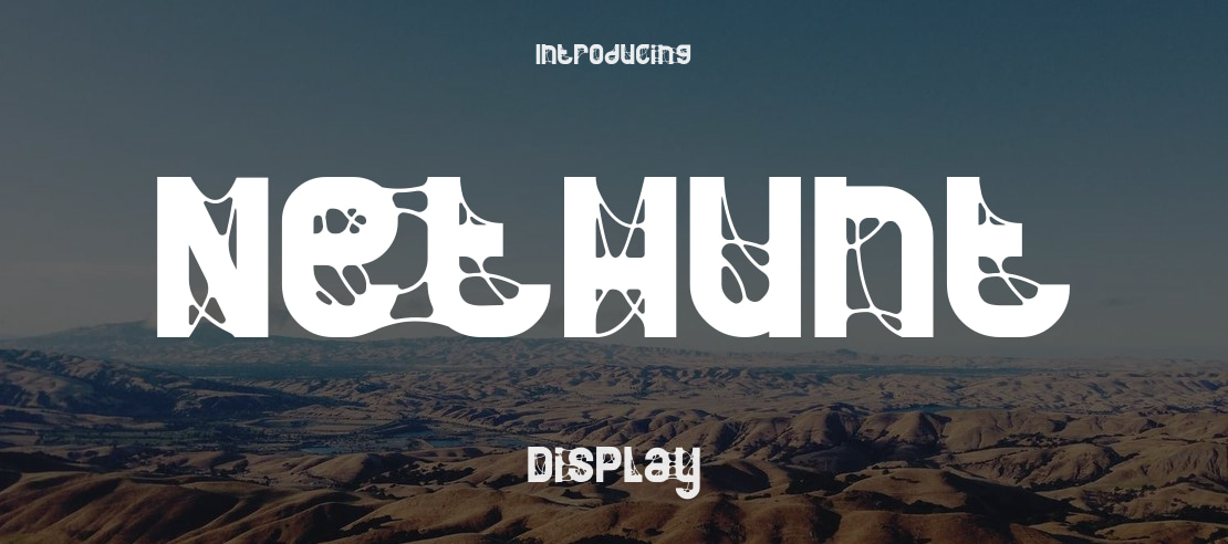 NetHunt Font