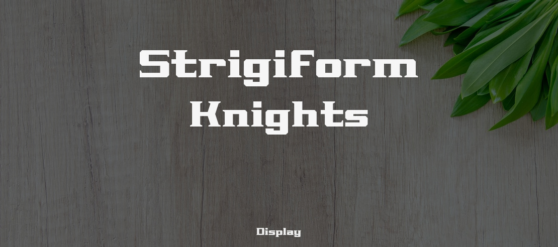 Strigiform Knights Font