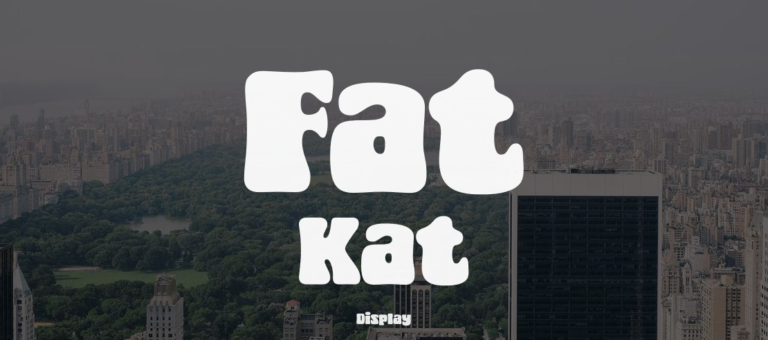 Fat Kat Font