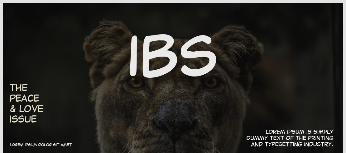 IBS Font