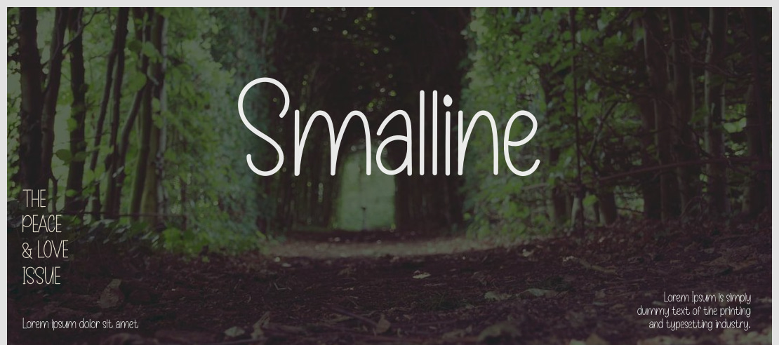 Smalline Font