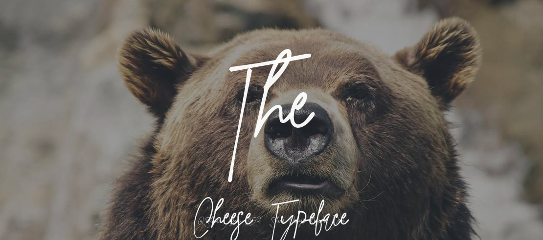 The Cheese Font