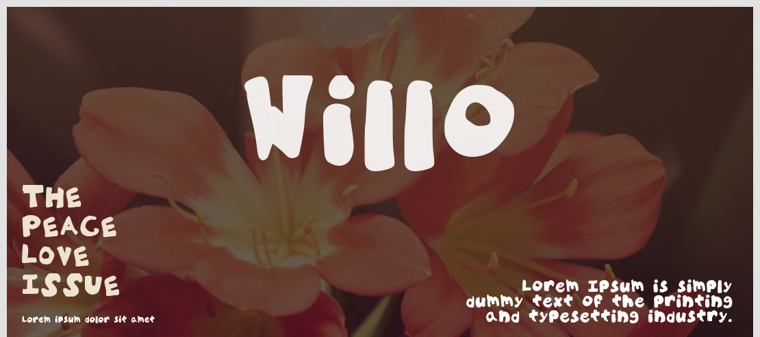 Willo Font
