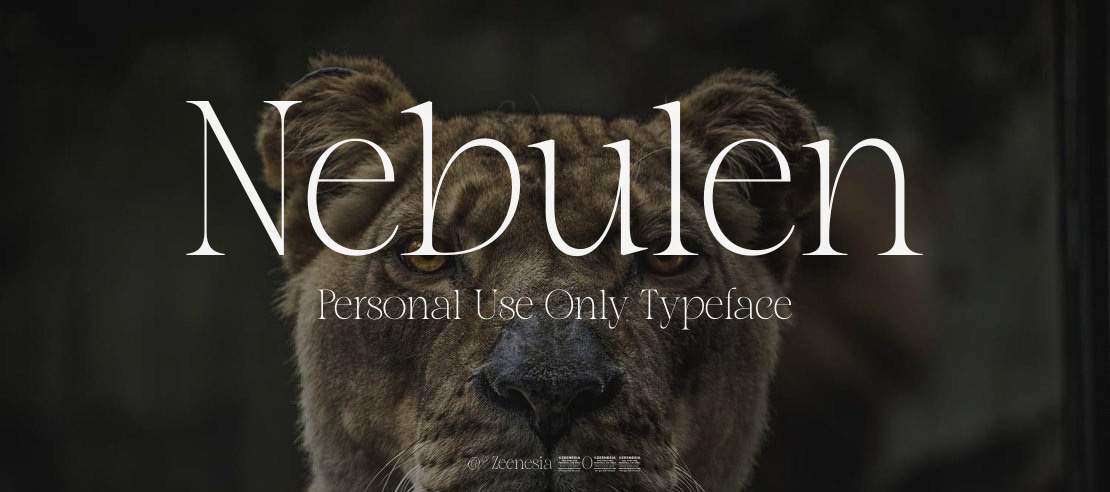 Nebulen Personal Use Only Font