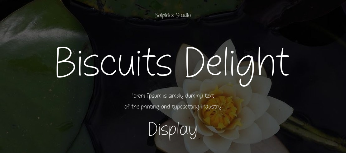 Biscuits Delight Font
